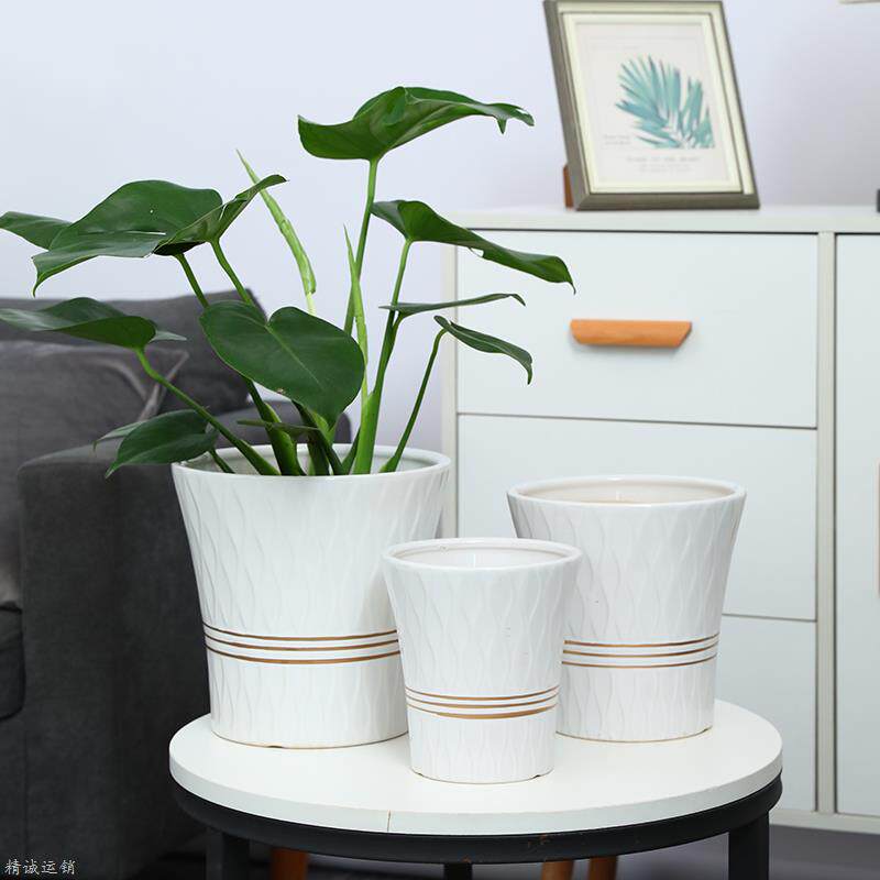 栀子花专用花盆蝴蝶兰兰花茶花长寿花玫瑰花日式简约时尚风发财树