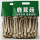 当季 精选500g鹿茸菇农家特产无硫鹿茸菇菌菇干货炖煲汤家用 新货