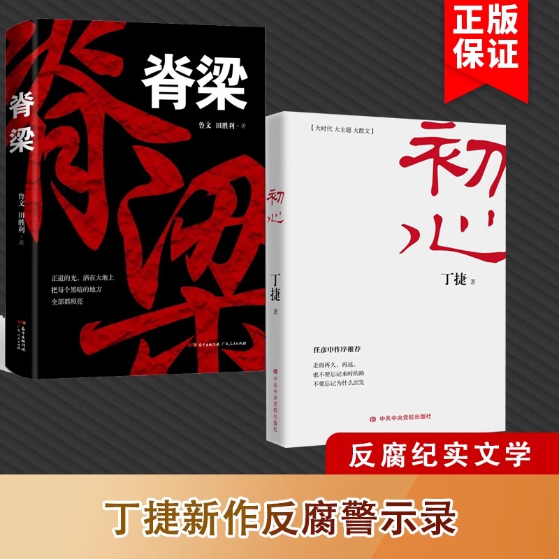 【反腐纪实2册】丁捷初心+脊梁鲁文田胜利反腐纪实文学追问续作现实主义官场小说反腐小说纪检监察CB