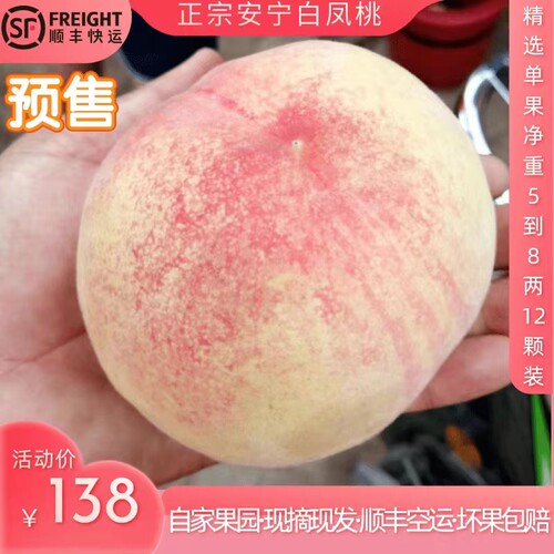 水蜜桃安宁白粉桃6兰州现摘蜜桃