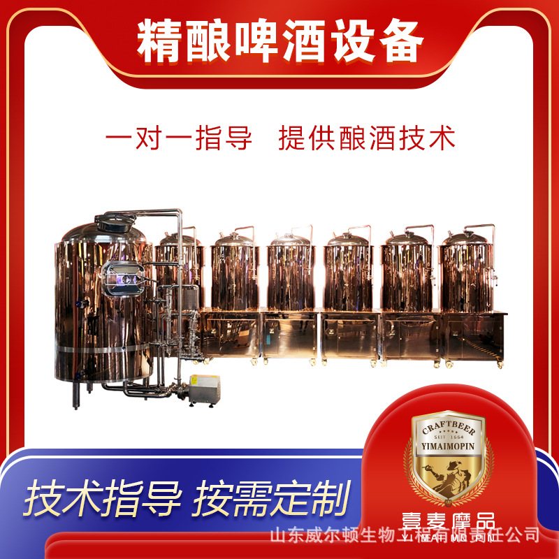 小型啤酒酿造设备 精酿家用啤酒机械 精酿啤酒酿造配方 送配方