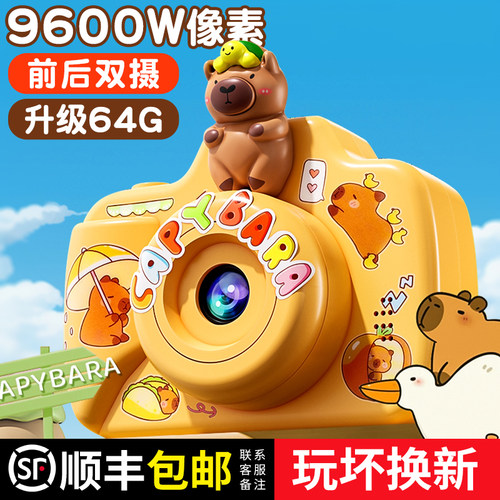 【李佳埼推荐】卡皮巴拉照相机