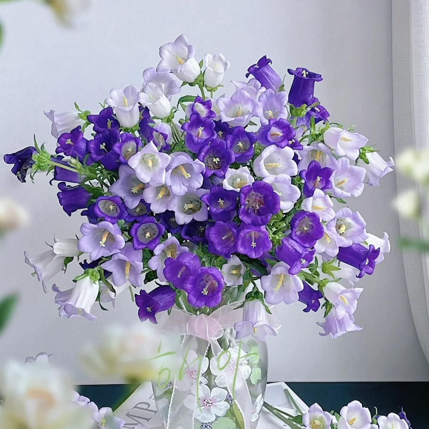 风铃花鲜花云南基地直发鲜切花