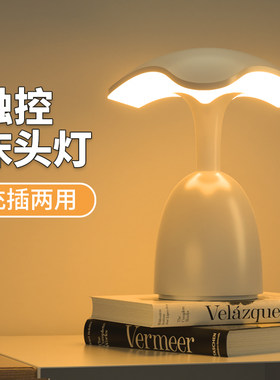 触摸小夜灯卧室充电款台灯宝宝睡眠母婴I儿喂奶护眼遥控床头拍拍