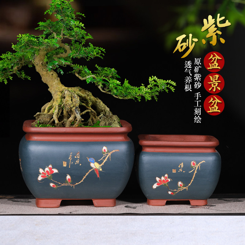 宜兴紫砂四方花盆发财树老桩大小号K盆景盆方口兰花盆陶瓷,鲜花速递/花卉仿真/绿植园艺,花盆,淘宝优惠券,粉丝福利购,淘宝优惠卷