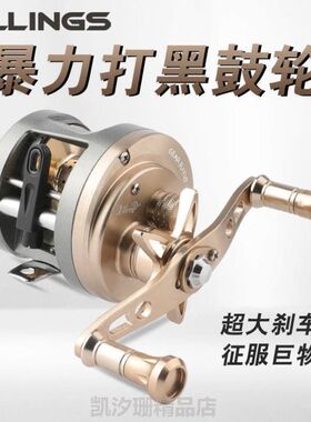 专用雷强鱼线轮鼓轮锚鱼泛用专用鱼打黑!海N钓路亚锚轮全金属微物