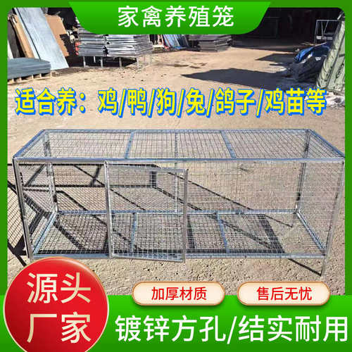 家禽笼防鼠鸡笼子兔笼子鸟笼子鸽笼养殖鸡笼镀锌网折叠鸭子笼加
