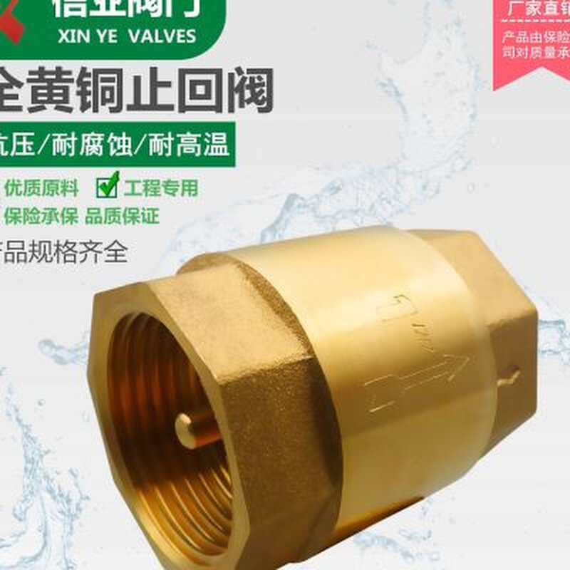 速发止回式4分6水管全铜逆止阀家用水表水泵止逆立阀卧式防倒流止