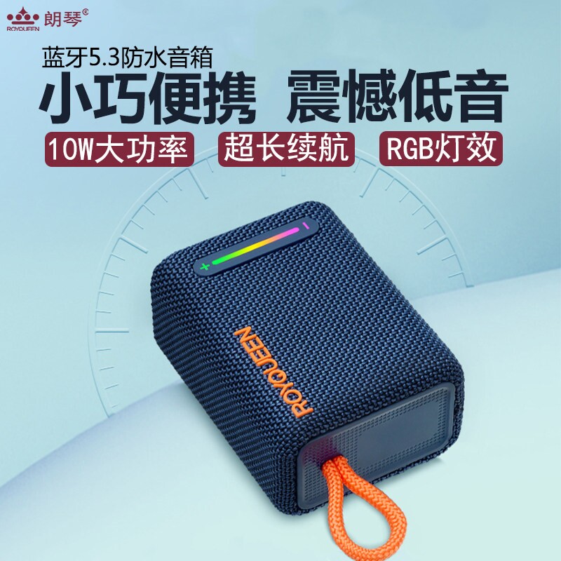 朗琴蓝牙音箱室外小型迷你便携式线音响老年人长续航充电收音机无