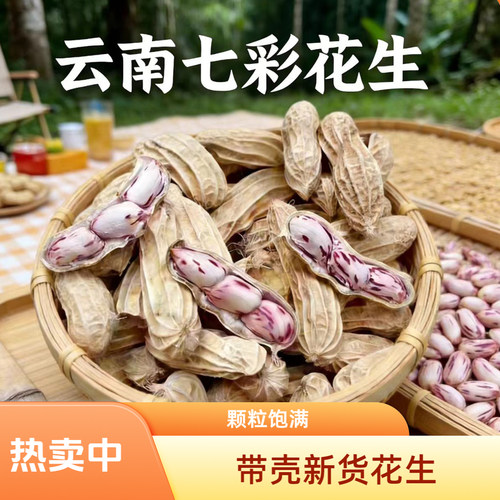 云南特产七彩带壳水煮花生1斤