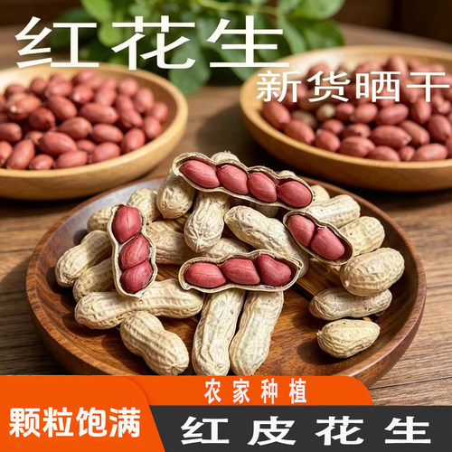 广东特产红花生带壳红皮花生饱满