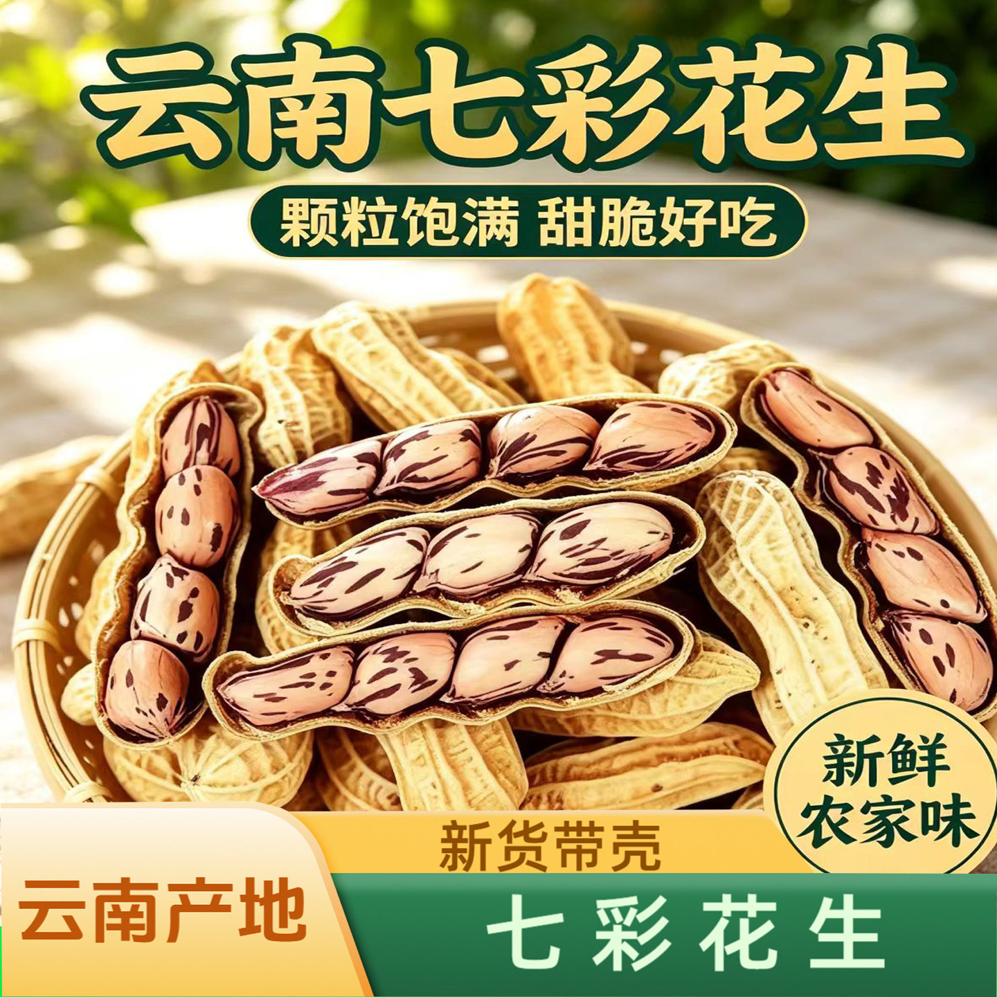 云南七彩花生带壳生花生农家晒干水果花生原味甜脆七彩花生直发