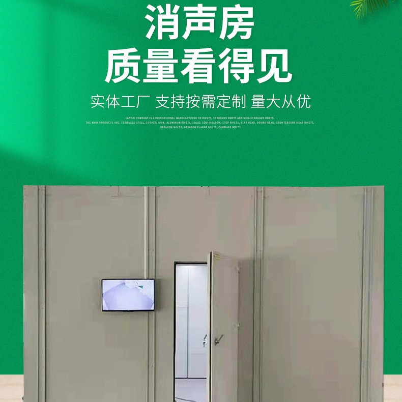气缸门在线产品测试消声室  信号电磁屏蔽房 真空泵检测 消声室