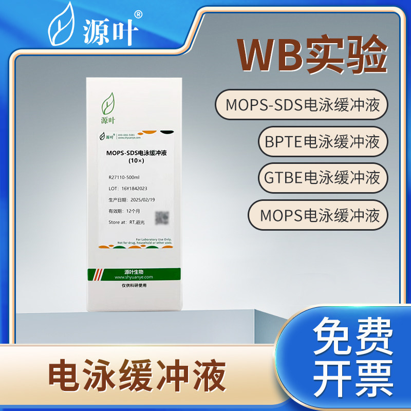 源叶甲基汞MOPS蛋白电泳缓冲液粉