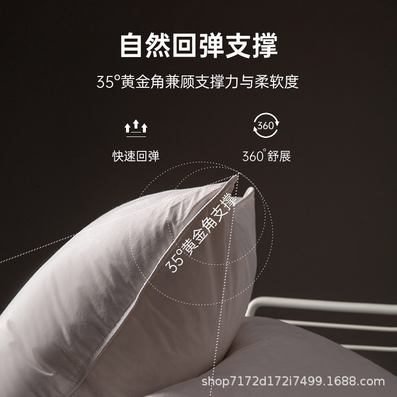 鹅毛羽绒抱枕靠垫芯内胆