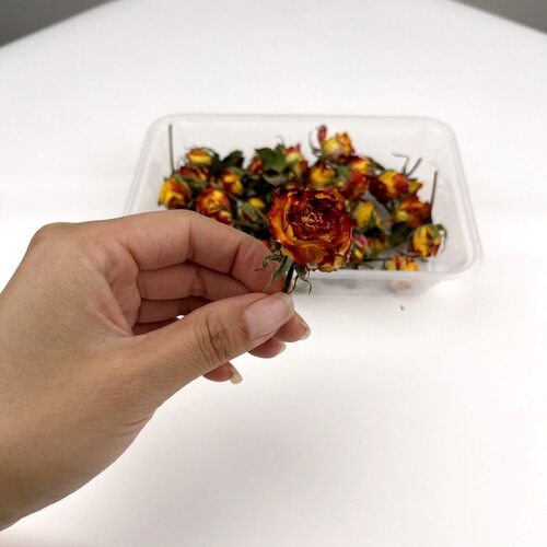 多头玫瑰干花ins蔷薇泡泡
