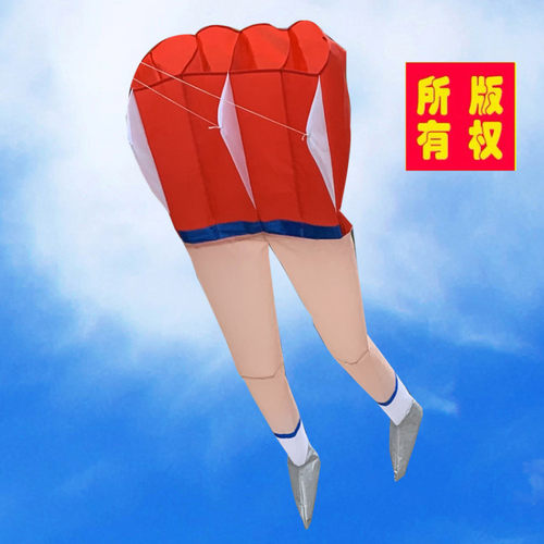 成人大型软体立体3D风筝