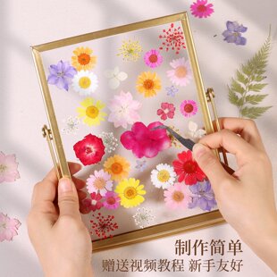 押花diy干花相框摆台成品植物标本玻璃框压花艺手工材料创意礼物