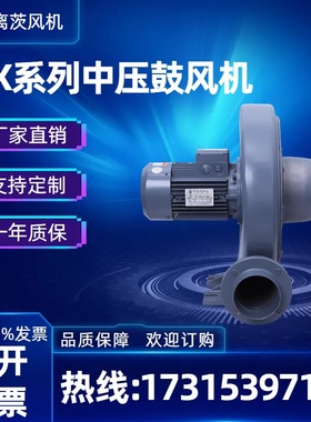 离茨CX-125A中压鼓风机透浦式中压风机 烘干设备配套颗粒输送风机