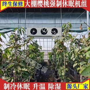 节反季 大棚樱冷桃制机组7匹休眠升温湿一体机大棚温除控BMO空调8