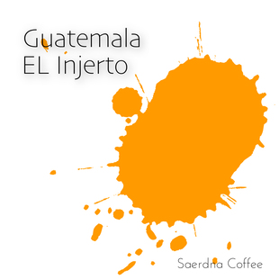 227g包装 圣德纳咖啡 120 茵赫特 危地马拉