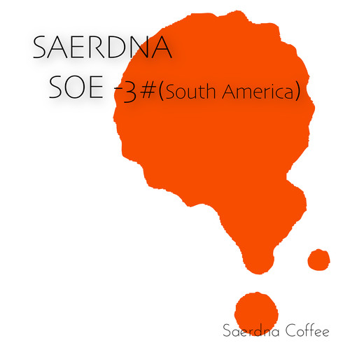 Saerdna Coffee  America 3#