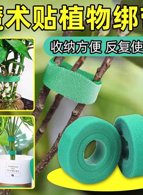 绿色植物绑带双面自粘背靠背扎带园林爬藤定型捆绑魔术贴绿植扎带