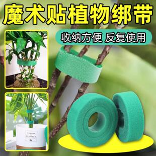 绿色植物绑带双面自粘背靠背扎带园林爬藤定型捆绑魔术贴绿植扎带