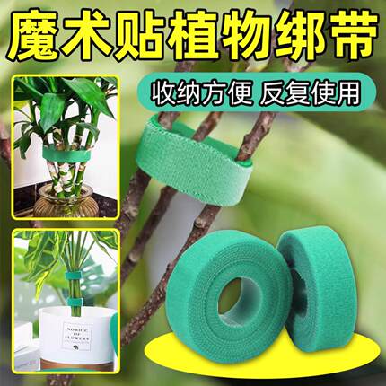 绿色植物绑带双面自粘背靠背扎带园林爬藤定型捆绑魔术贴绿植扎带