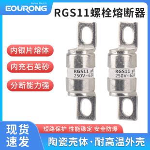熔断器RGS11CR2L250V232A40A50A63A780A100A12160A高分断
