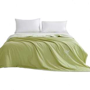 佳丽斯空调被夏凉被A类被芯茶香夏被春秋款单人可机洗薄被子夏季