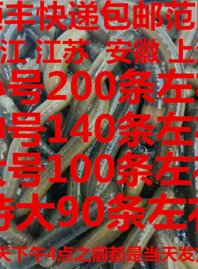 青蚯蚓 黑蚯蚓 下小网  龙虾泥鳅  黄鳝