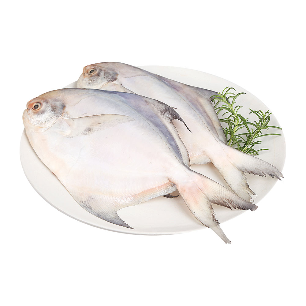 东海鲜冻中鲳鱼 1kg (5条装)