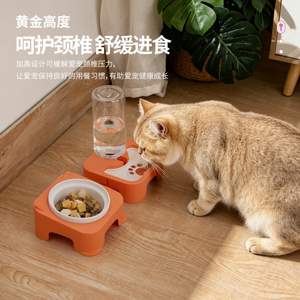 陶瓷猫碗食盆狗咪双碗自