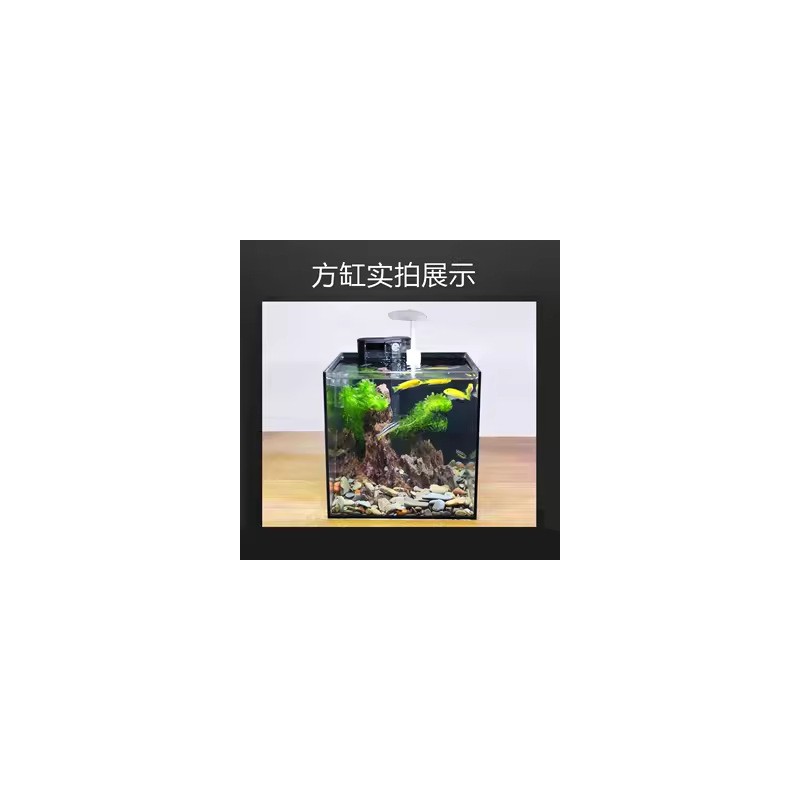 【方缸链接】金晶超白玻