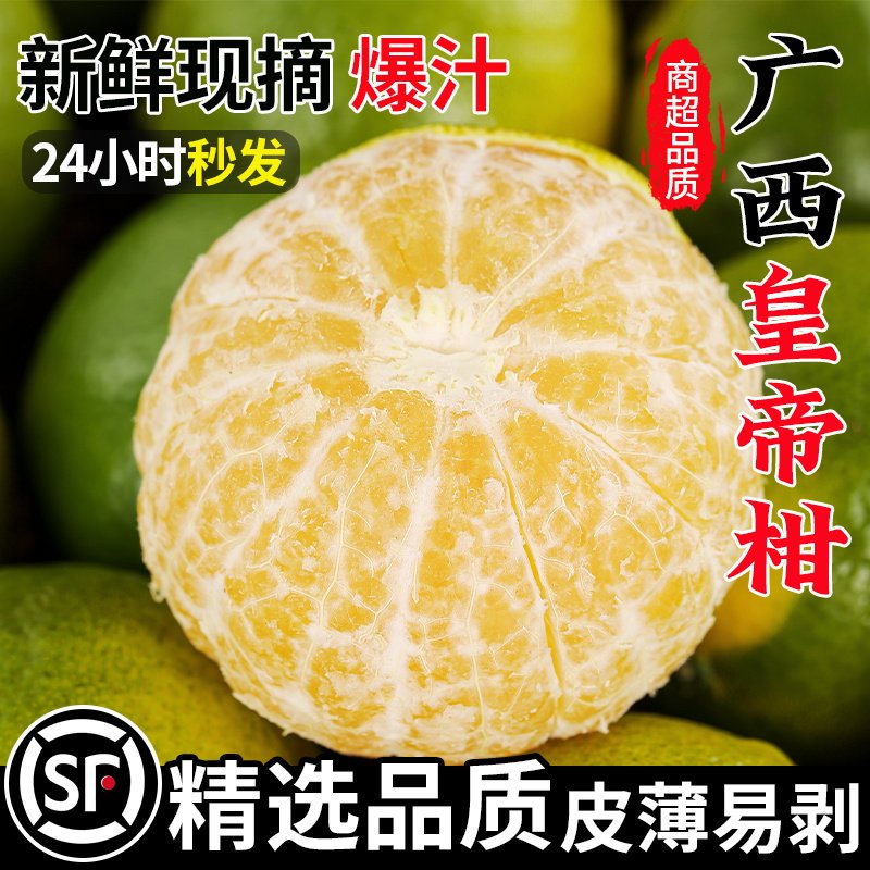 正宗广西皇帝柑新鲜橘子水果10斤当季现摘蜜桔子贡柑甜橘老树大果