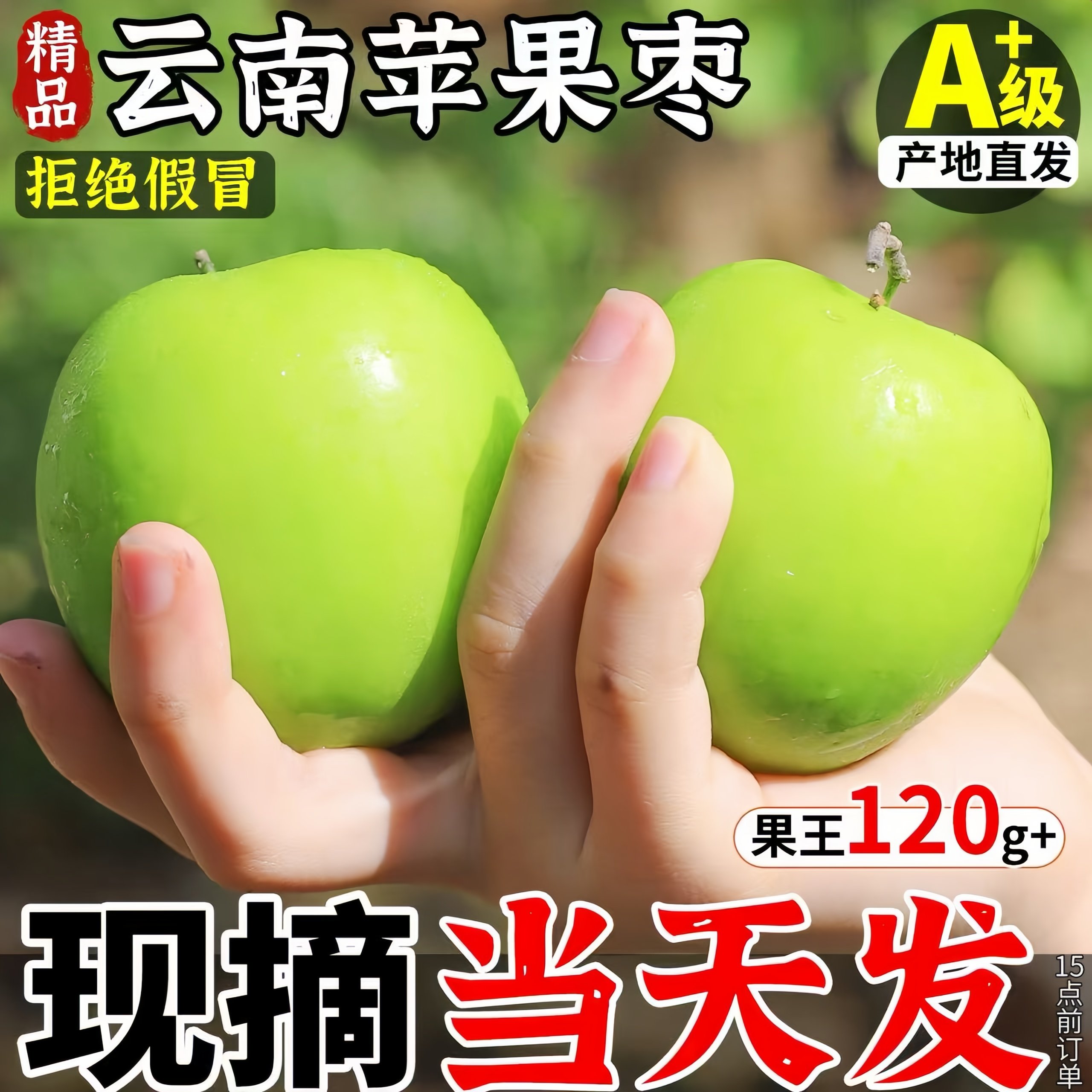 正宗云南西双版纳苹果枣新鲜现摘9斤青蜜牛奶枣脆甜当季水果包邮