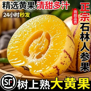云南石林人参果新鲜水果当季整箱树上熟黄果圆果10斤人生果包邮