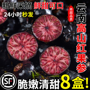 云南红果参新鲜水果蜘蛛果算盘果当季稀罕见现摘8盒整箱包邮礼盒