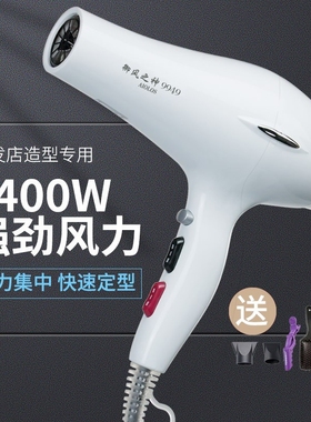 定型电吹风机御风之神AIOLOS9949大功率家用发廊专用不伤发2400W