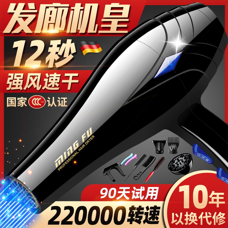 吹头发廊专用w吹风机强力大功率5