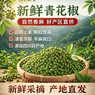 农科院新鲜青花椒火锅底料作料四川重庆特麻椒商用真空保鲜小包装