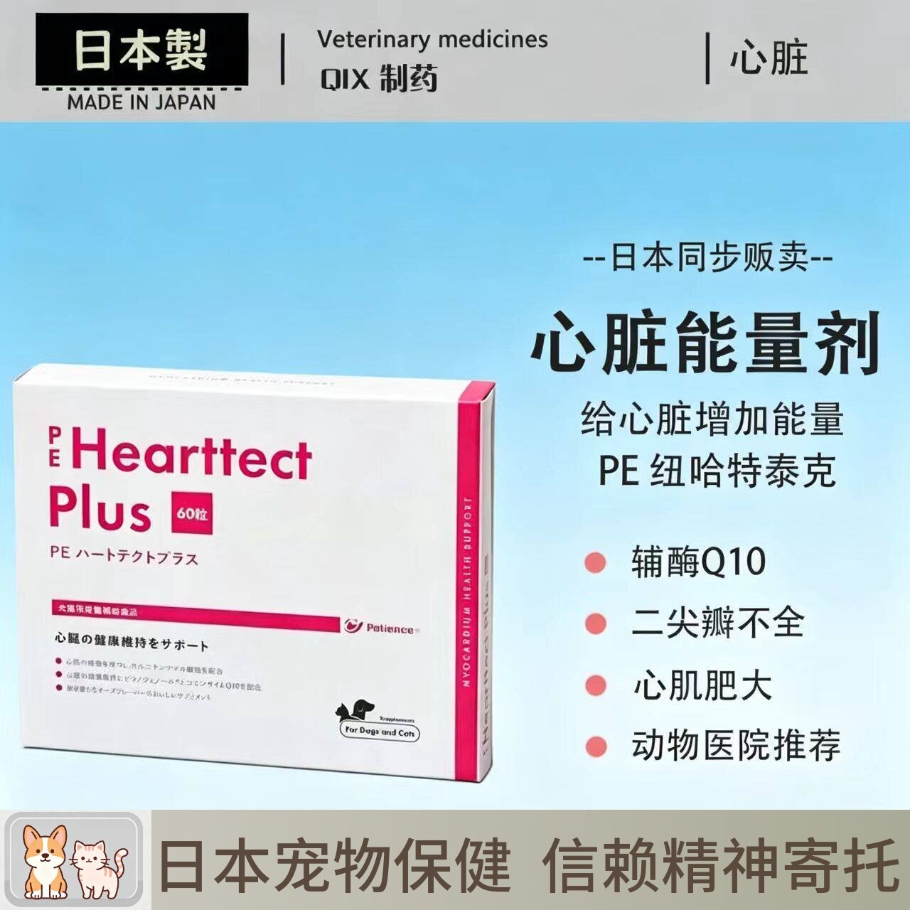 日本原产 PE哈特泰克 猫狗宠物心肌炎加强辅酶Q10缓解气喘图片
