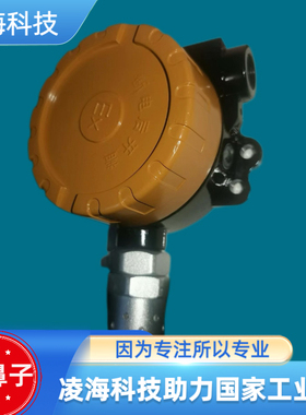 大鼻子DZI11B可燃气体探测器 议价