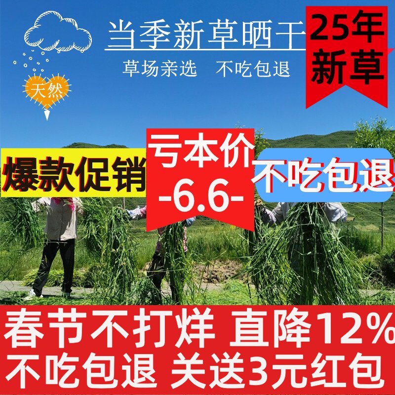 新晒干提摩西草精品兔子食用兔草兔粮干草牧草龙猫荷兰猪粮食饲料
