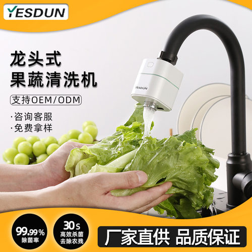 便携式智能食材果蔬净化器新款家用活氧消毒除菌去农残水果清洗机