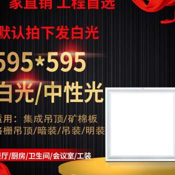 定制新款集成吊顶灯铝扣板600o600格栅灯盘3001200工程石膏平板面