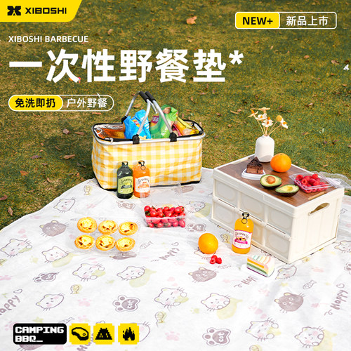 一次性野餐垫