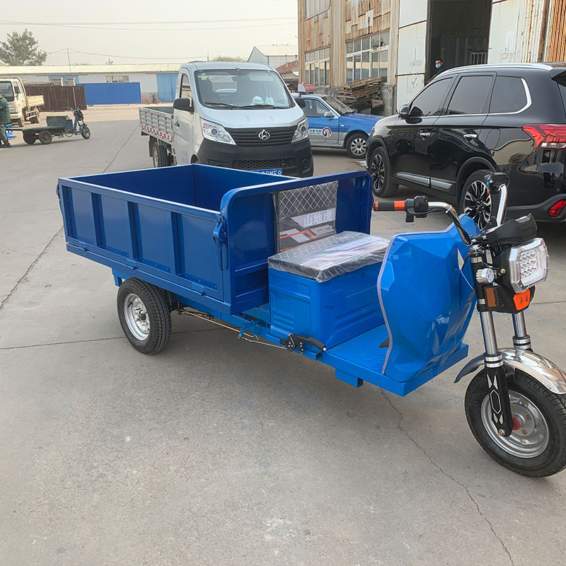 升降电动三轮车 定制三轮平板升降车 小型家用电动车按需供应