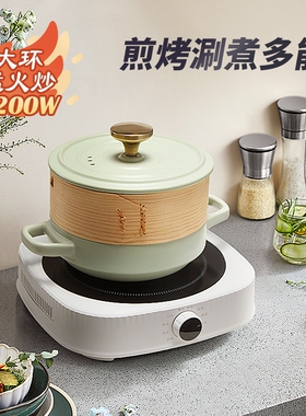 诺洁仕电陶炉家用电磁炉光波炉智式爆炒能新款电磁炉迷小型煮茶台